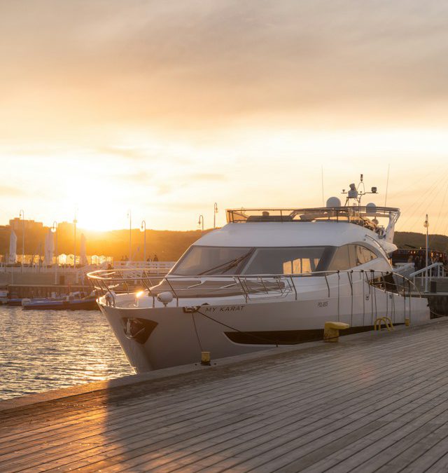 Dolphins, Detail and Devotion: The Allure of Lauderdale Marine Services