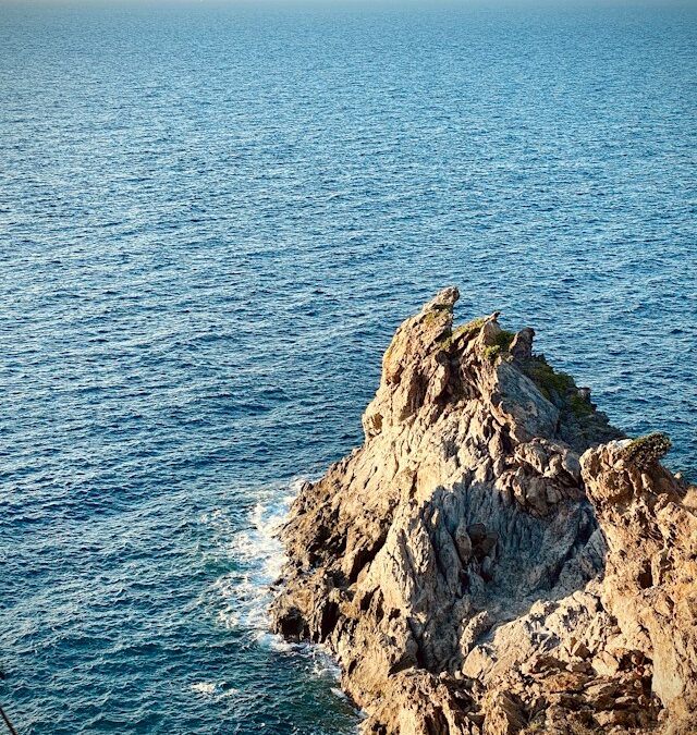 Where everyone’s going this summer